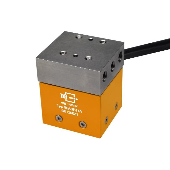 N6ASB11A Thoracic Spine