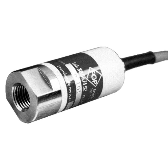 Model P101 high pressure