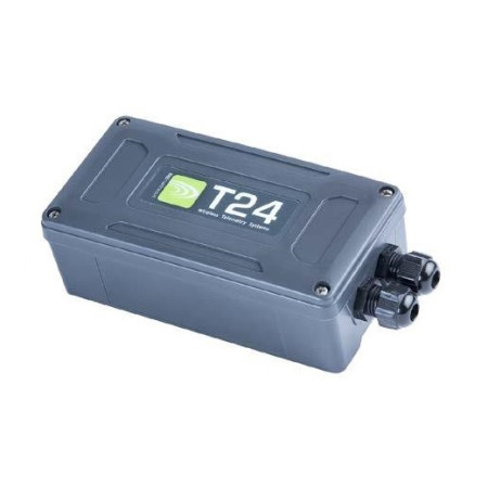T24-BSI