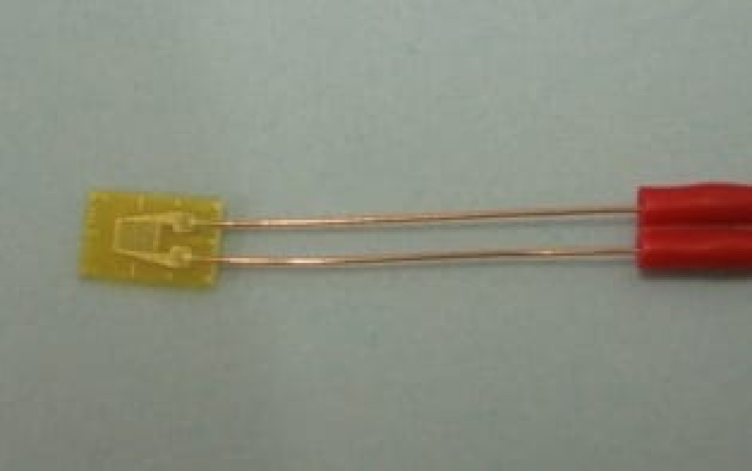 Encapsulated and leaded gauges