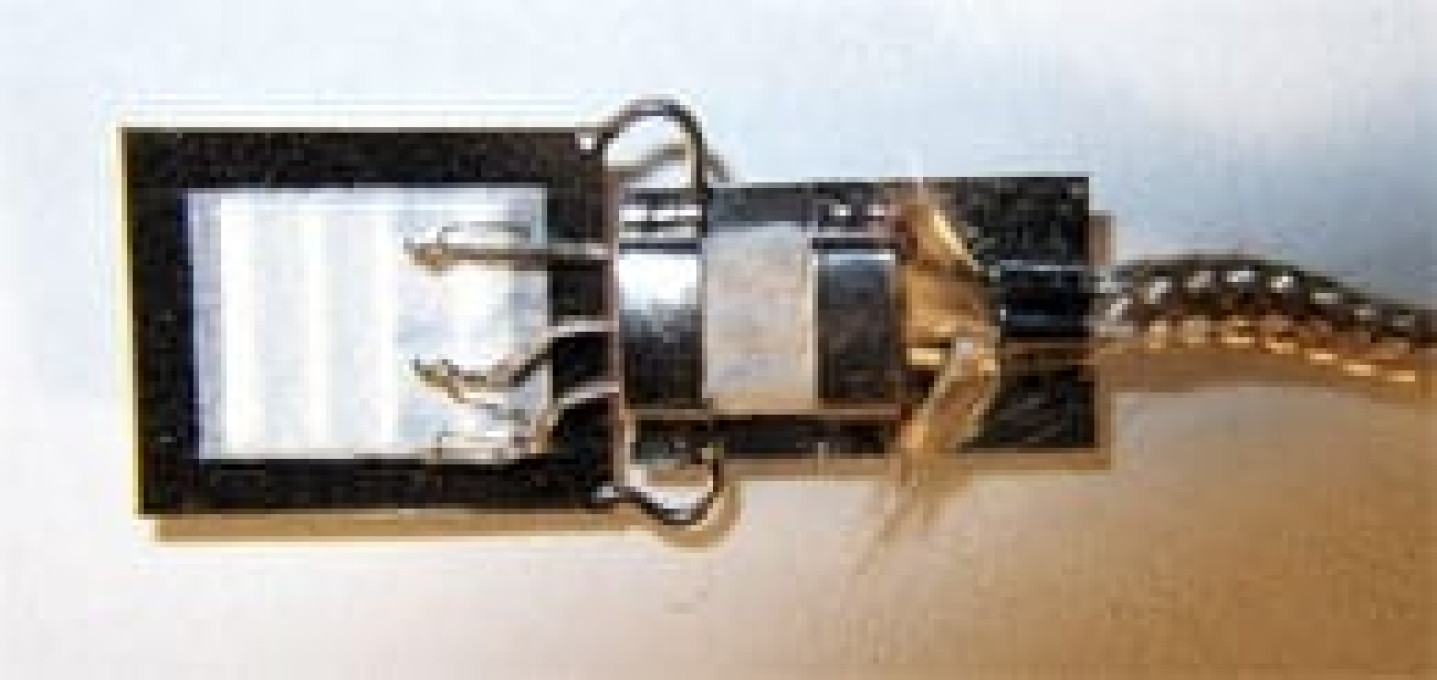 HBWAK Static Strain Measurements